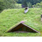 Small green roof 
