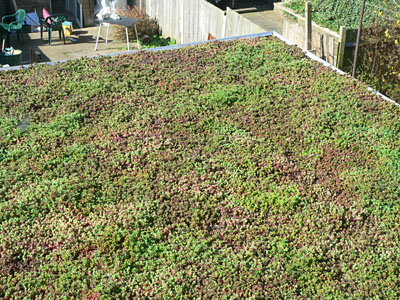 Green roof - second view from bedroom window