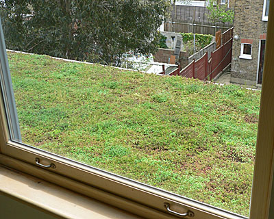 Green roof - first view from bedroom window