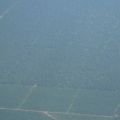 Malaysian rubber and palm oil plantations from the air - view-from-airplane-window-5