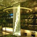 Vertical garden, water feature,  reflecting the departure hub, Singapore Changi airport second image