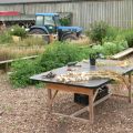 Table at farm in herb garden with tractor in background