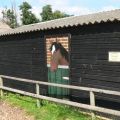 Stable with horse