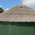 Thatch roof at farm building
