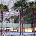 Changi airport Singapore, inside, trees, green garden, vertical garden:o